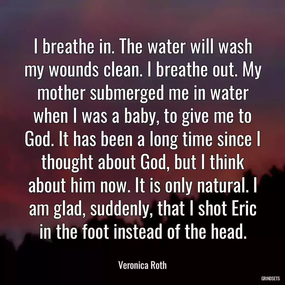 I breathe in. The water will wash my wounds clean. I breathe out. My mother submerged me in water when I was a baby, to give me to God. It has been a long time since I thought about God, but I think about him now. It is only natural. I am glad, suddenly, that I shot Eric in the foot instead of the head.