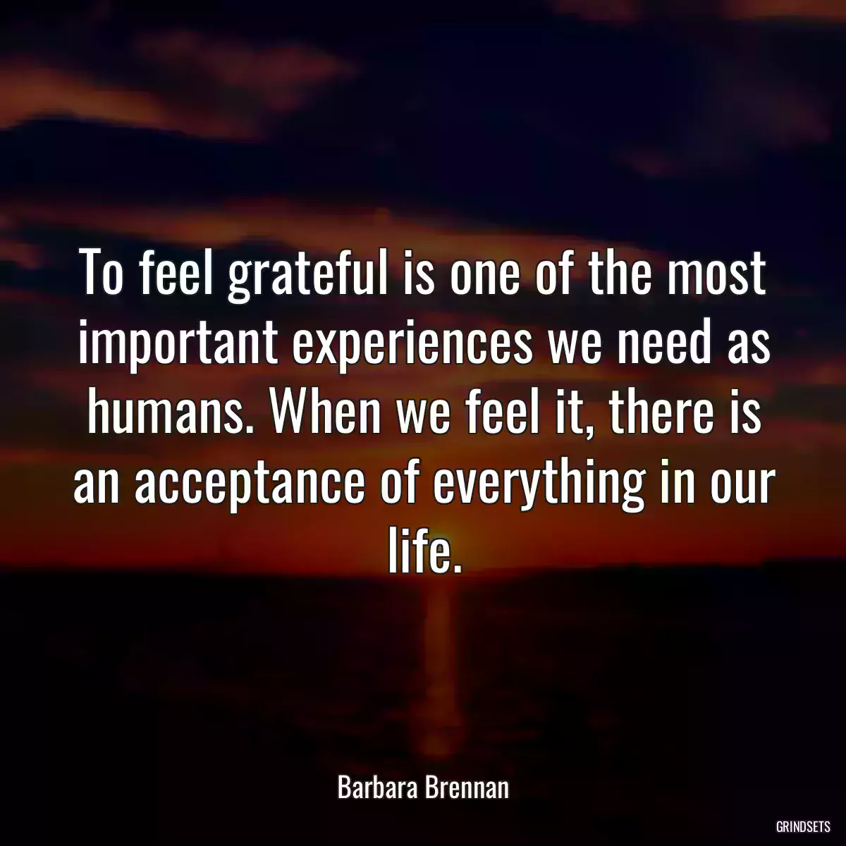 To feel grateful is one of the most important experiences we need as humans. When we feel it, there is an acceptance of everything in our life.