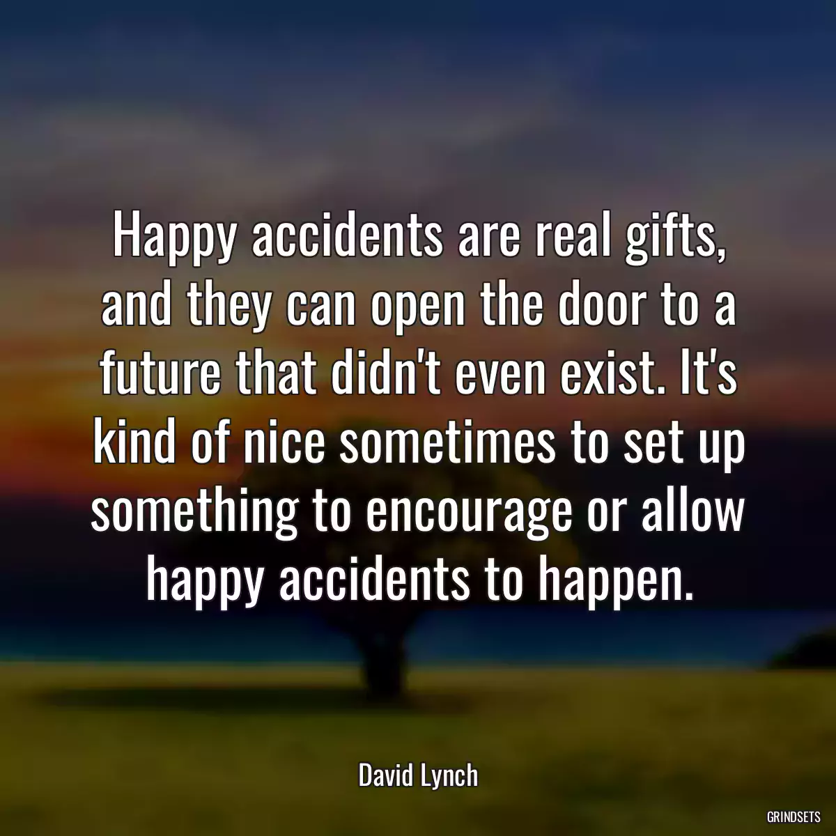 Happy accidents are real gifts, and they can open the door to a future that didn\'t even exist. It\'s kind of nice sometimes to set up something to encourage or allow happy accidents to happen.