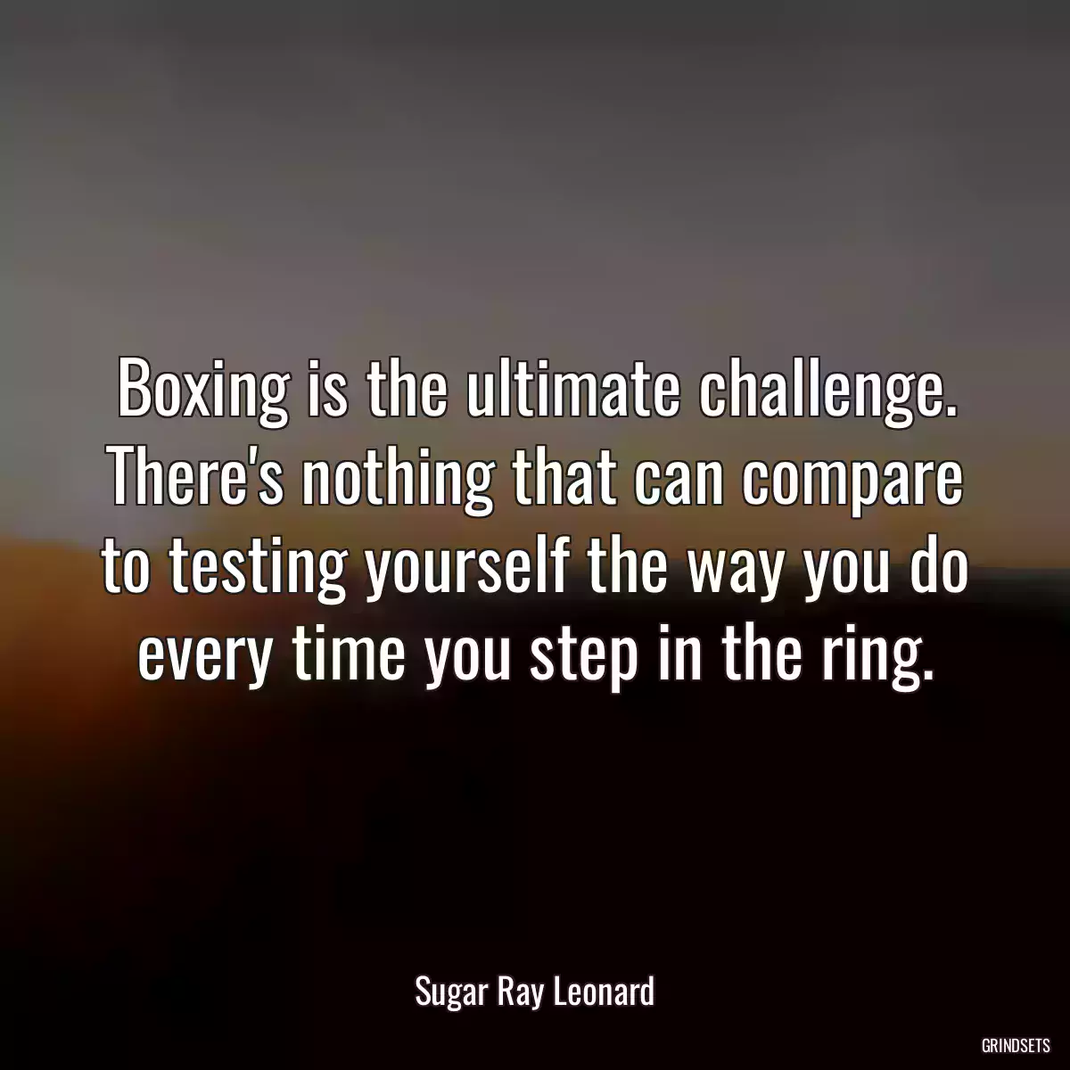 Boxing is the ultimate challenge. There\'s nothing that can compare to testing yourself the way you do every time you step in the ring.