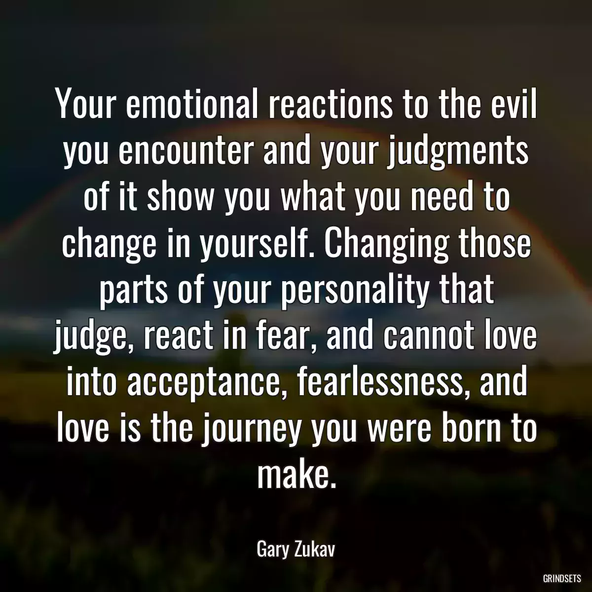 Your emotional reactions to the evil you encounter and your judgments of it show you what you need to change in yourself. Changing those parts of your personality that judge, react in fear, and cannot love into acceptance, fearlessness, and love is the journey you were born to make.