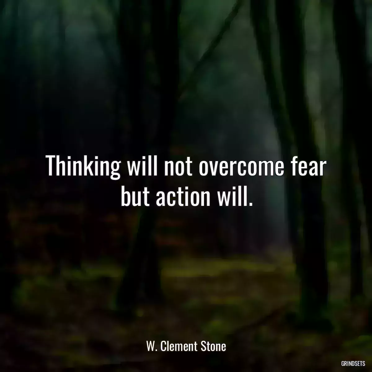 Thinking will not overcome fear but action will.