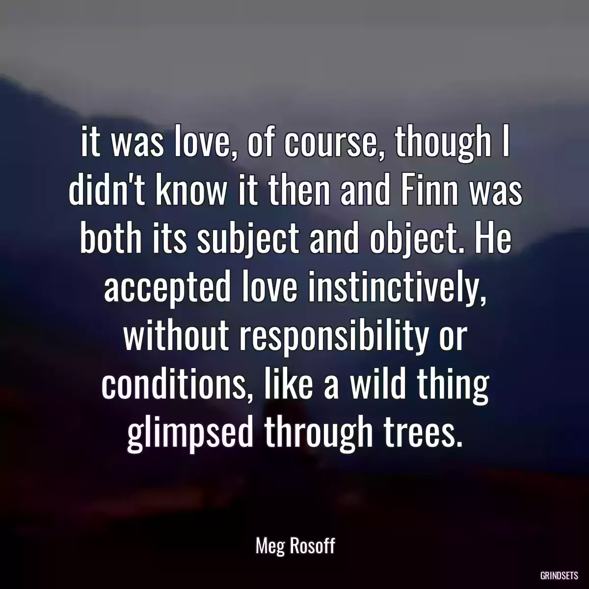 it was love, of course, though I didn\'t know it then and Finn was both its subject and object. He accepted love instinctively, without responsibility or conditions, like a wild thing glimpsed through trees.