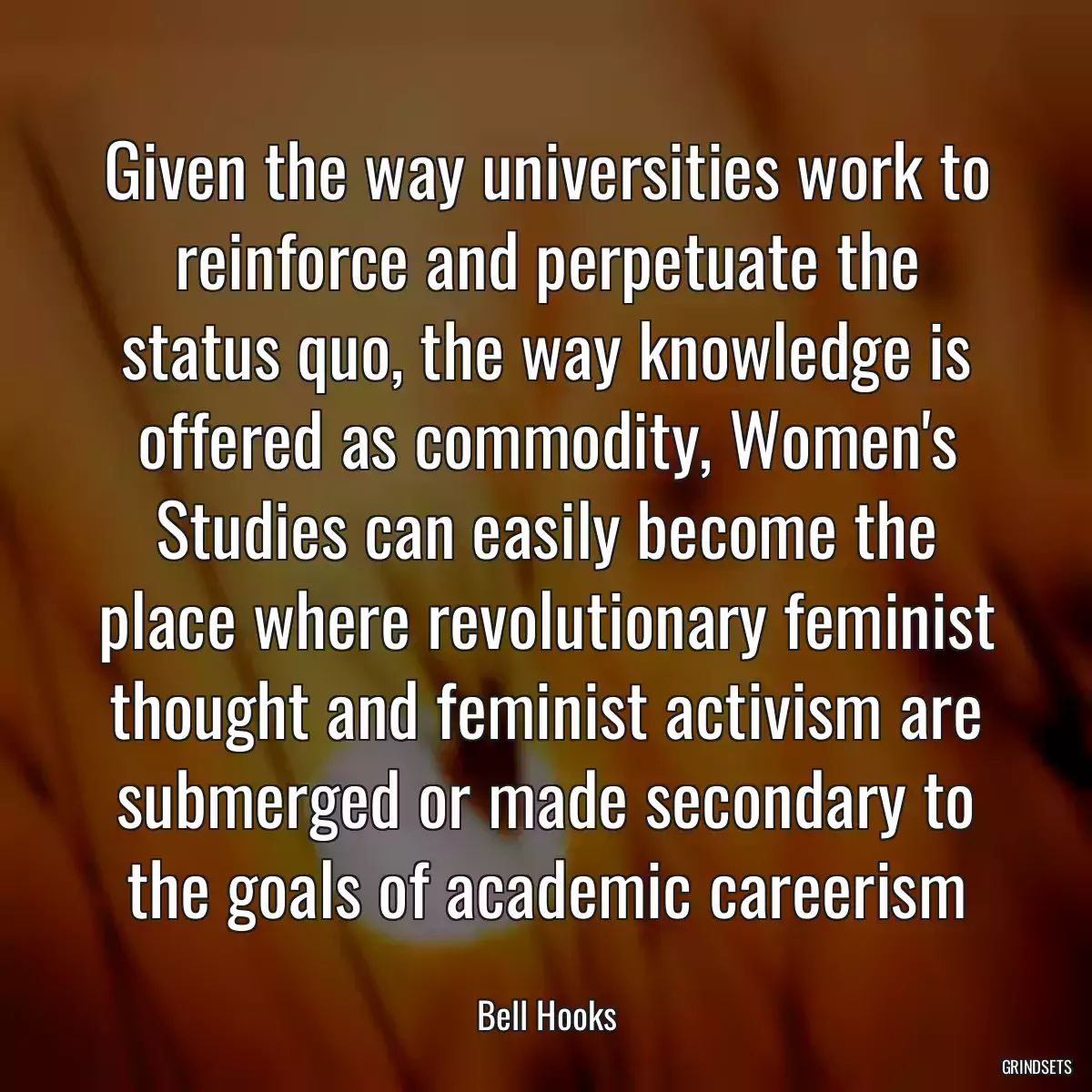 Given the way universities work to reinforce and perpetuate the status quo, the way knowledge is offered as commodity, Women\'s Studies can easily become the place where revolutionary feminist thought and feminist activism are submerged or made secondary to the goals of academic careerism