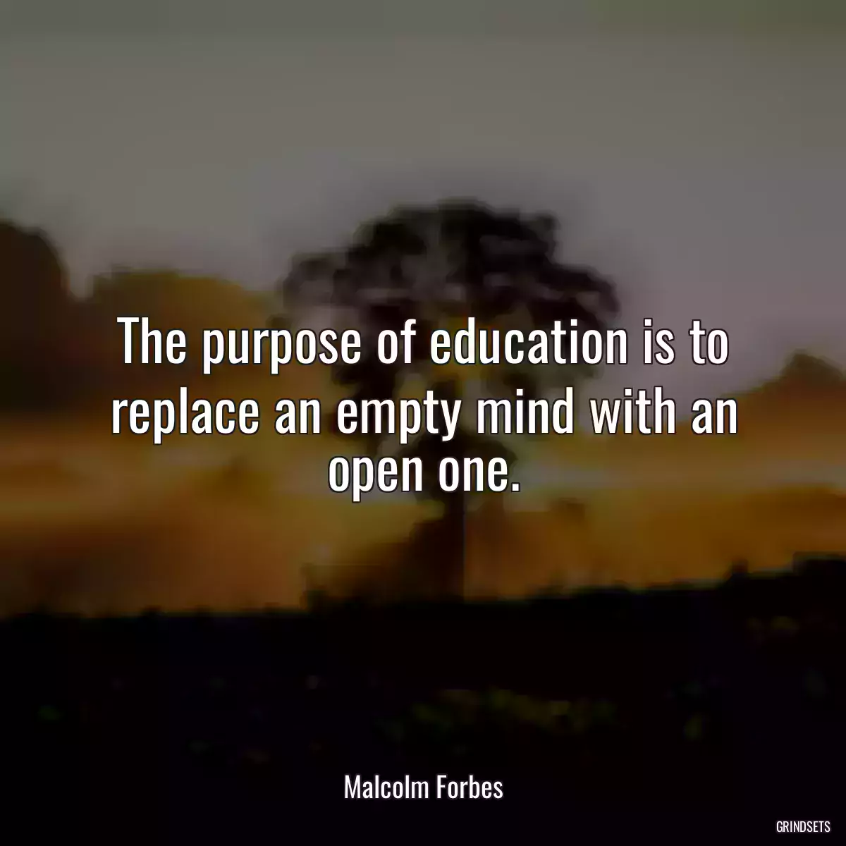 The purpose of education is to replace an empty mind with an open one.