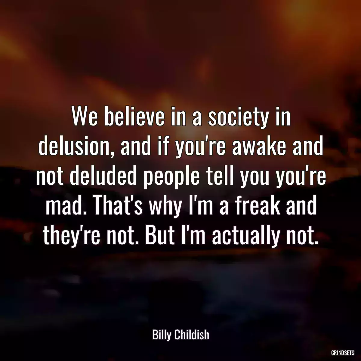 We believe in a society in delusion, and if you\'re awake and not deluded people tell you you\'re mad. That\'s why I\'m a freak and they\'re not. But I\'m actually not.