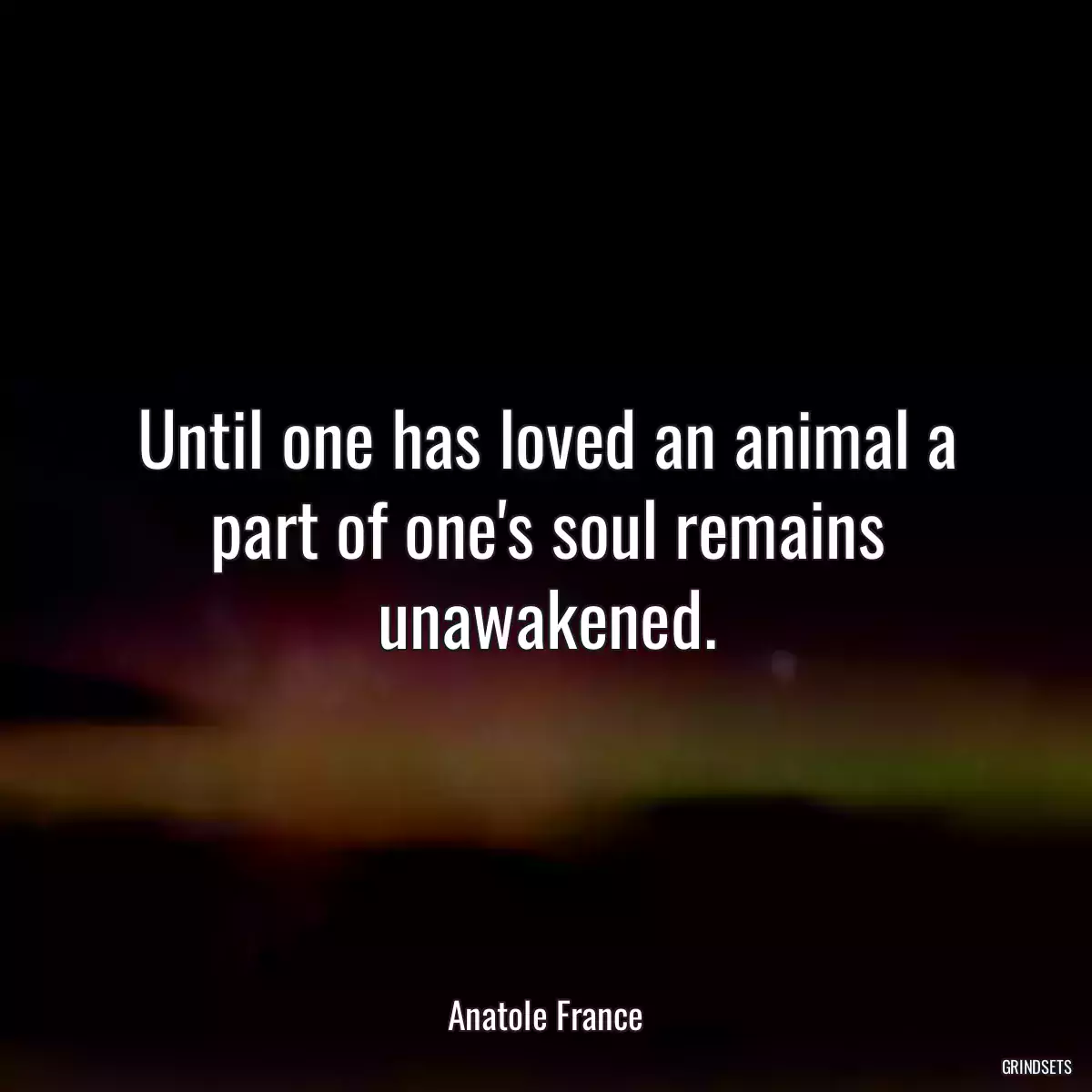 Until one has loved an animal a part of one\'s soul remains unawakened.