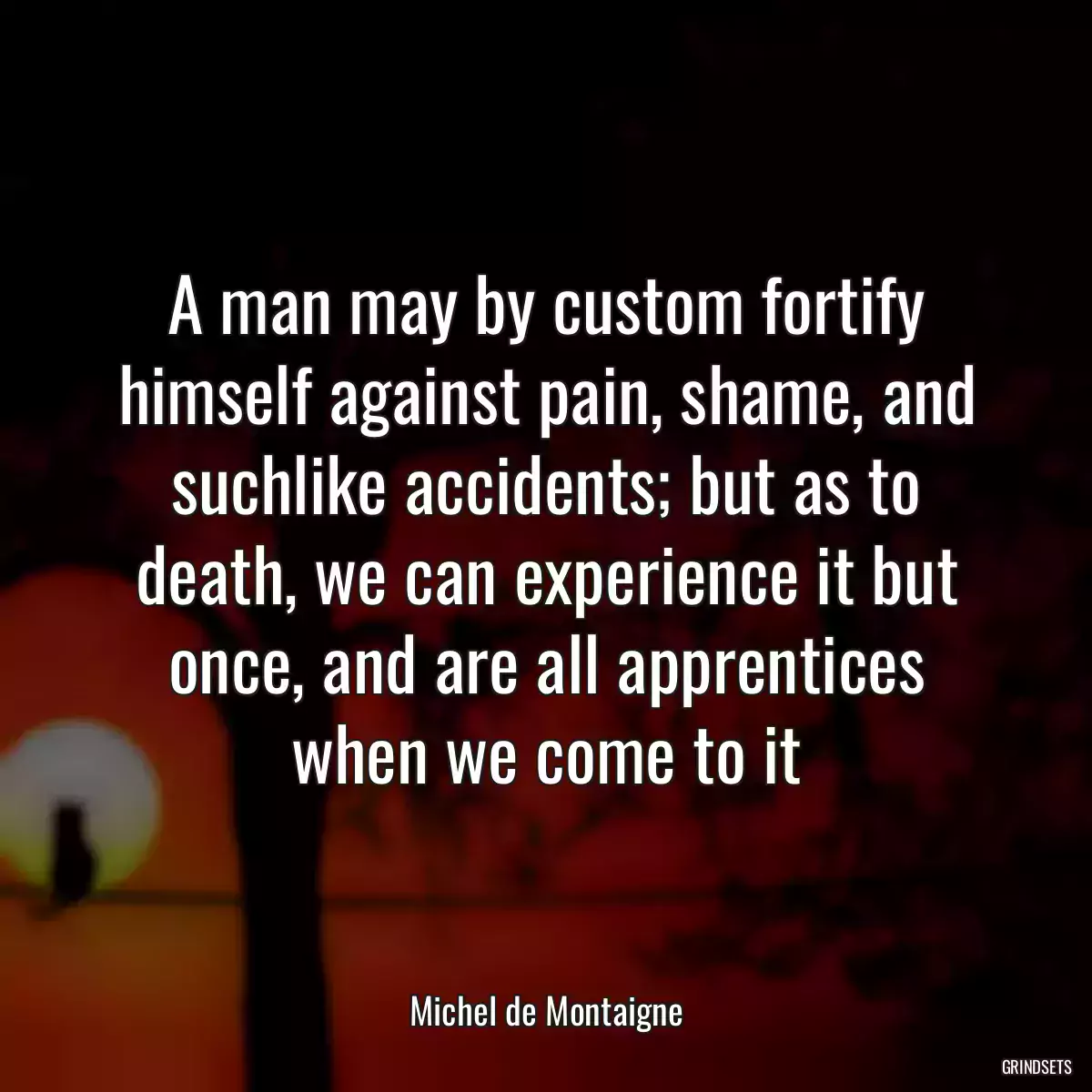 A man may by custom fortify himself against pain, shame, and suchlike accidents; but as to death, we can experience it but once, and are all apprentices when we come to it