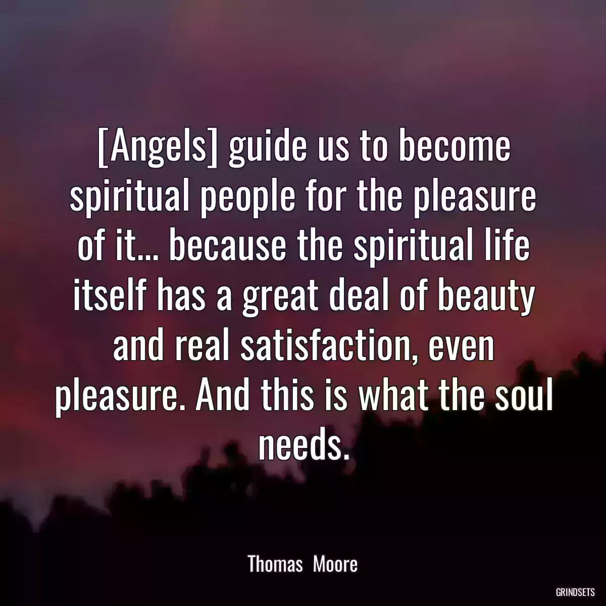 [Angels] guide us to become spiritual people for the pleasure of it... because the spiritual life itself has a great deal of beauty and real satisfaction, even pleasure. And this is what the soul needs.