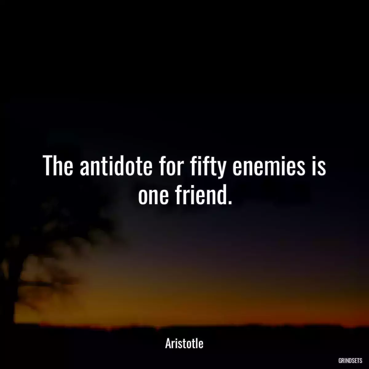 The antidote for fifty enemies is one friend.