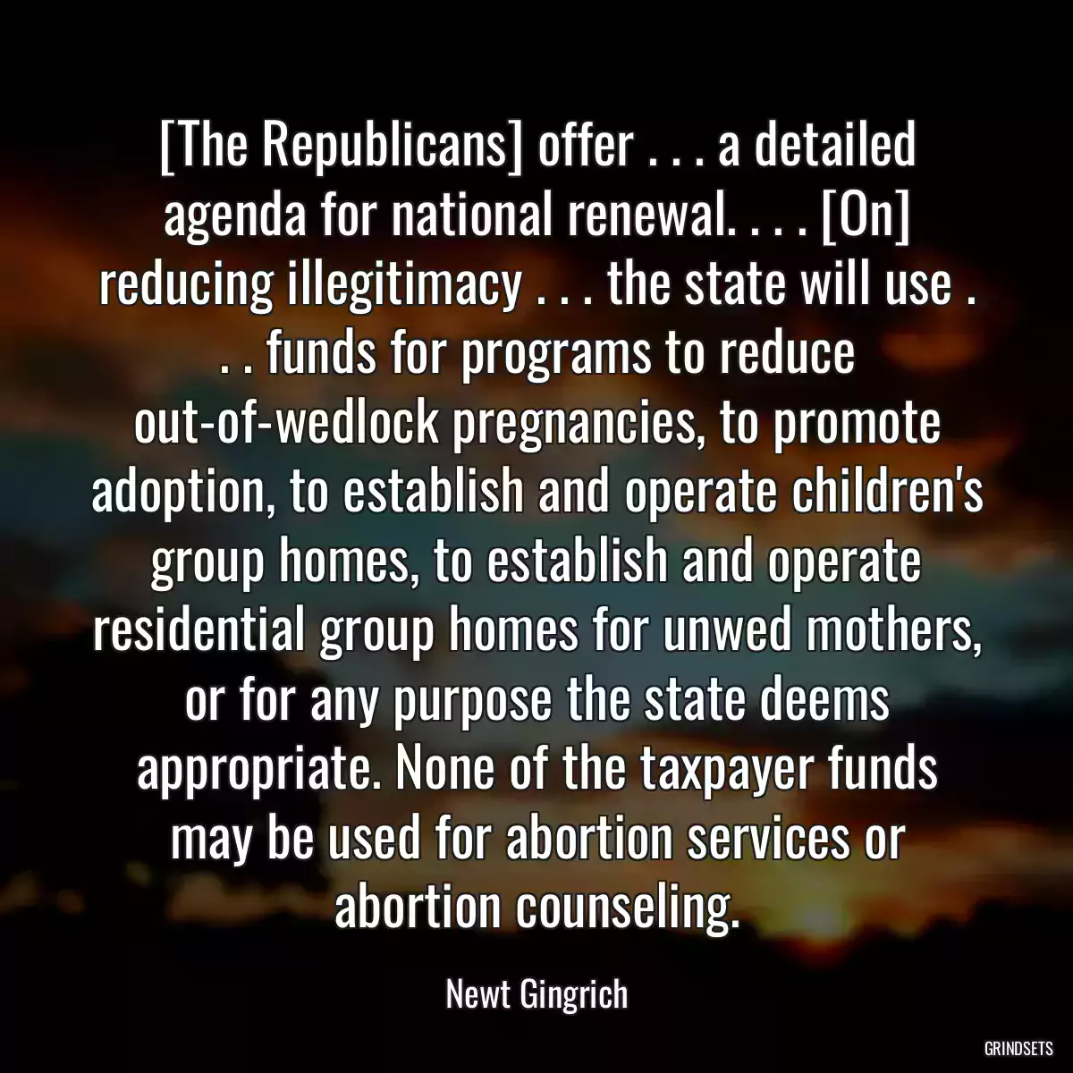 [The Republicans] offer . . . a detailed agenda for national renewal. . . . [On] reducing illegitimacy . . . the state will use . . . funds for programs to reduce out-of-wedlock pregnancies, to promote adoption, to establish and operate children\'s group homes, to establish and operate residential group homes for unwed mothers, or for any purpose the state deems appropriate. None of the taxpayer funds may be used for abortion services or abortion counseling.