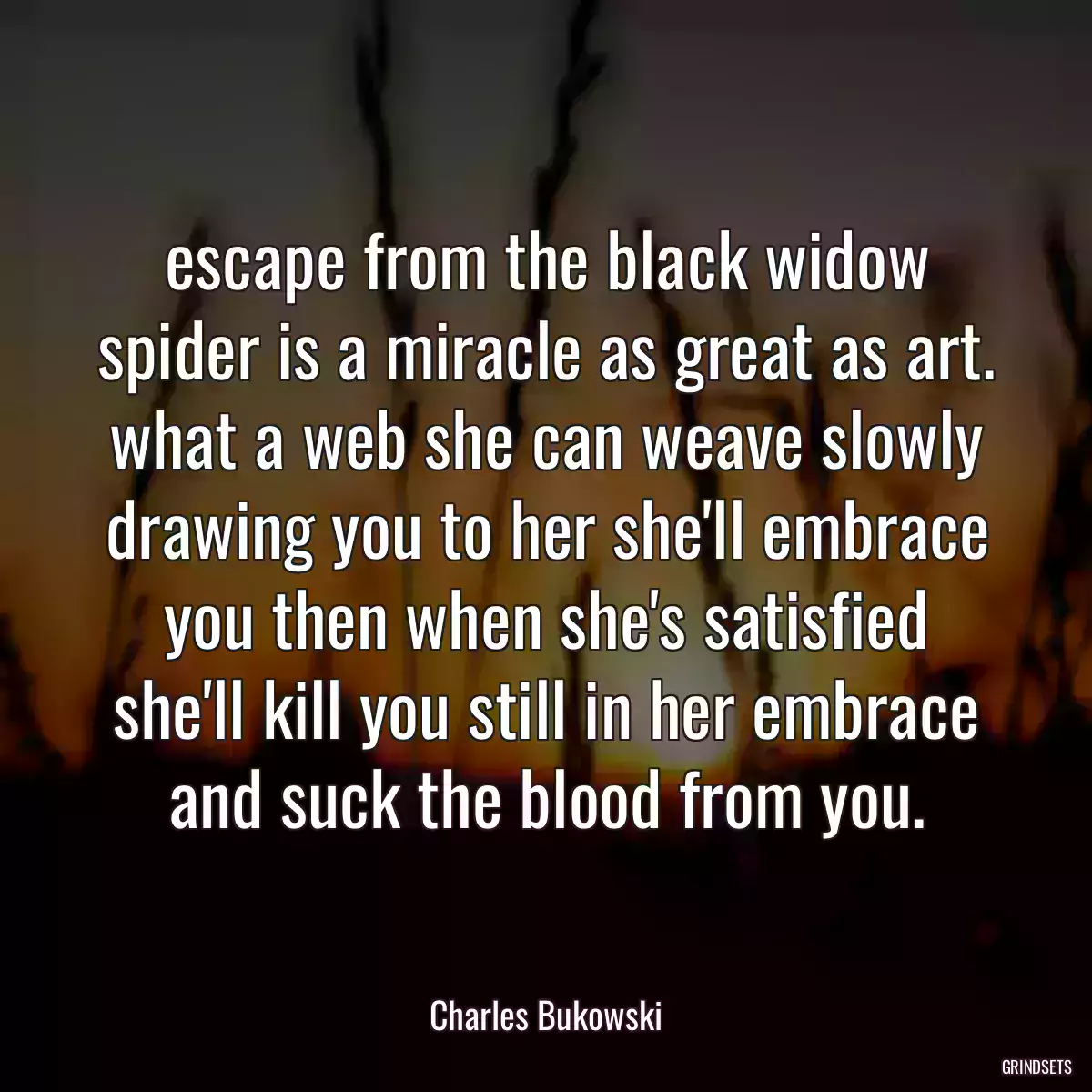 escape from the black widow spider is a miracle as great as art. what a web she can weave slowly drawing you to her she\'ll embrace you then when she\'s satisfied she\'ll kill you still in her embrace and suck the blood from you.