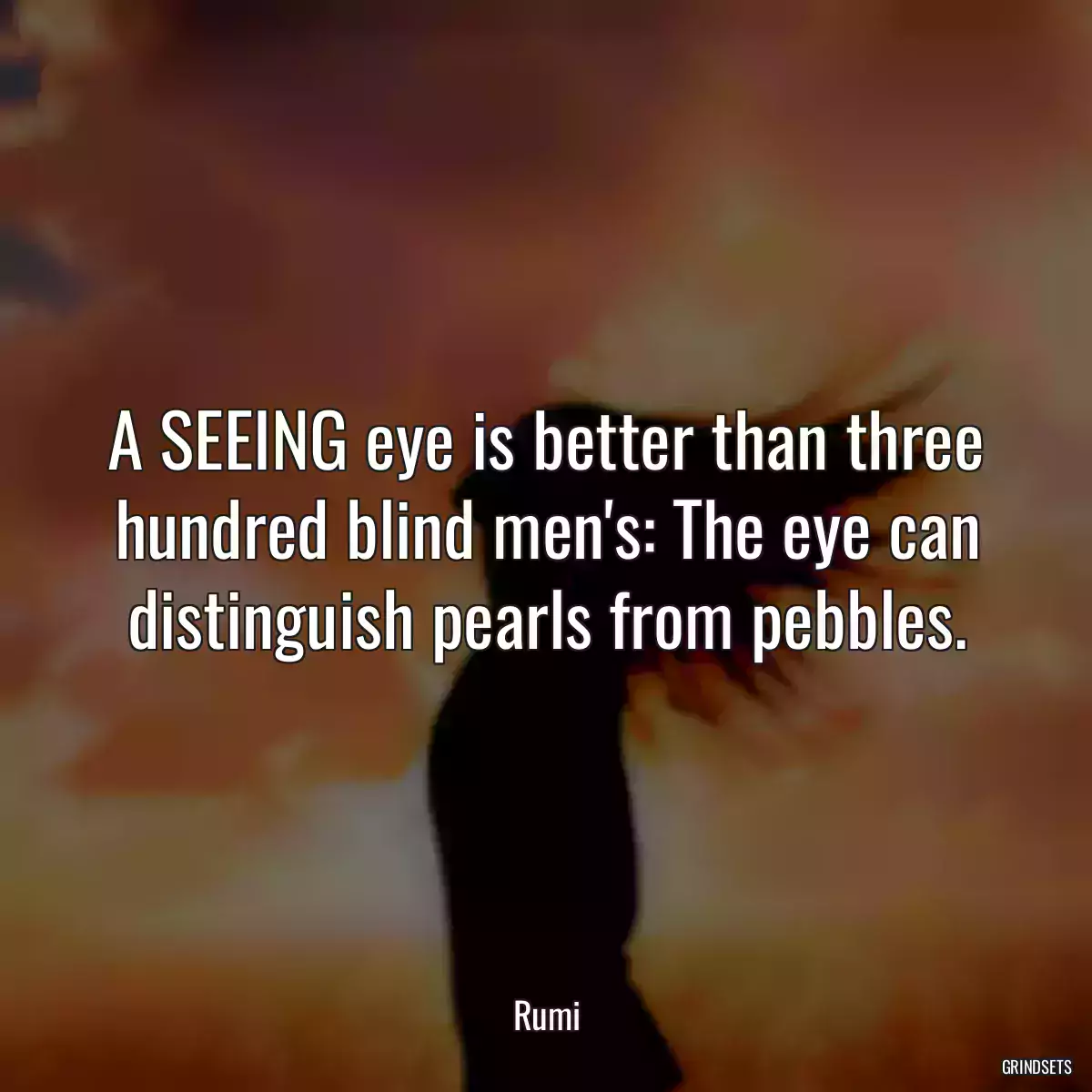 A SEEING eye is better than three hundred blind men\'s: The eye can distinguish pearls from pebbles.