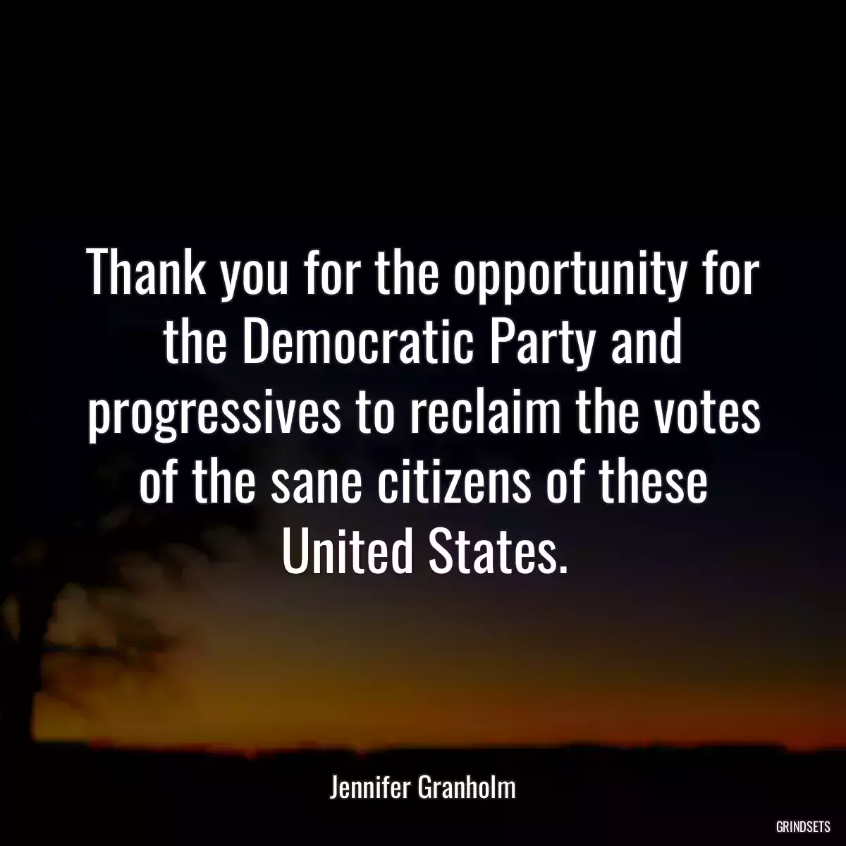 Thank you for the opportunity for the Democratic Party and progressives to reclaim the votes of the sane citizens of these United States.