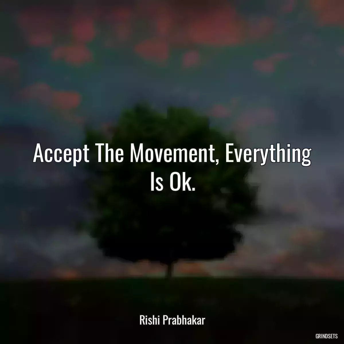 Accept The Movement, Everything Is Ok.