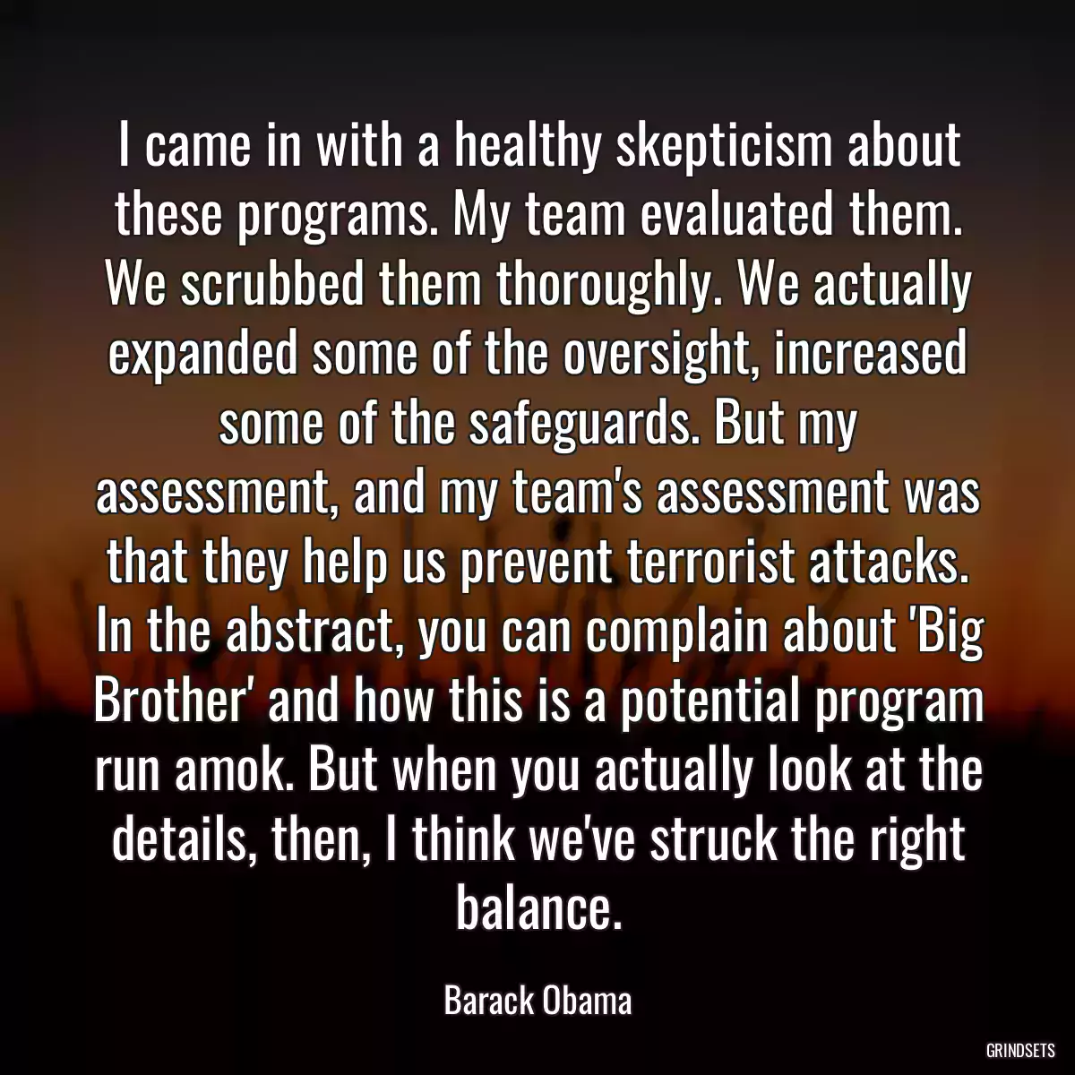 I came in with a healthy skepticism about these programs. My team evaluated them. We scrubbed them thoroughly. We actually expanded some of the oversight, increased some of the safeguards. But my assessment, and my team\'s assessment was that they help us prevent terrorist attacks. In the abstract, you can complain about \'Big Brother\' and how this is a potential program run amok. But when you actually look at the details, then, I think we\'ve struck the right balance.