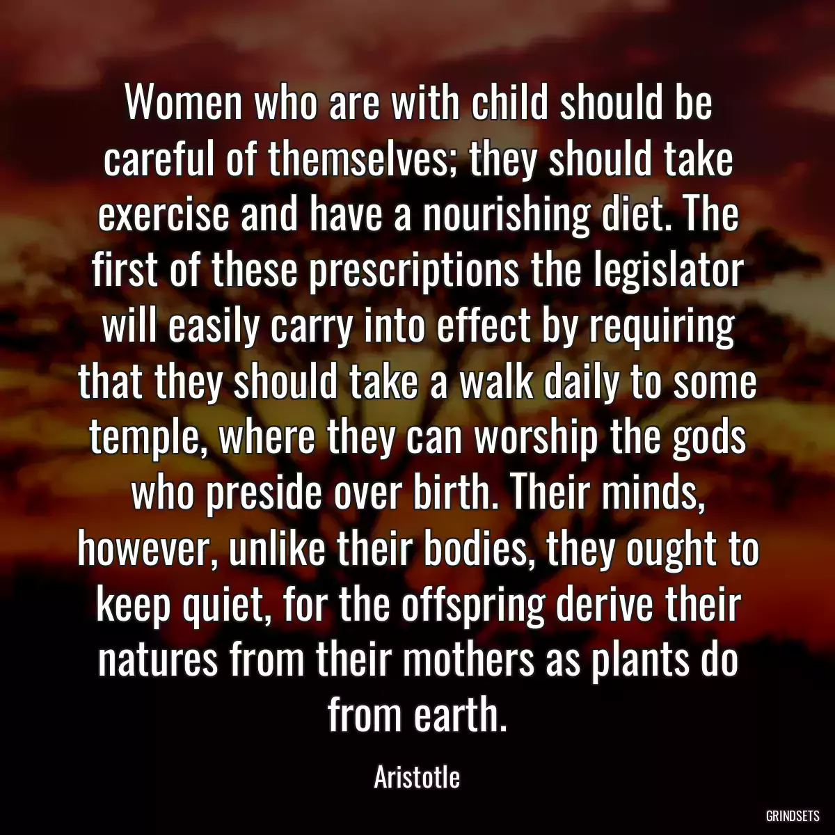 Women who are with child should be careful of themselves; they should take exercise and have a nourishing diet. The first of these prescriptions the legislator will easily carry into effect by requiring that they should take a walk daily to some temple, where they can worship the gods who preside over birth. Their minds, however, unlike their bodies, they ought to keep quiet, for the offspring derive their natures from their mothers as plants do from earth.