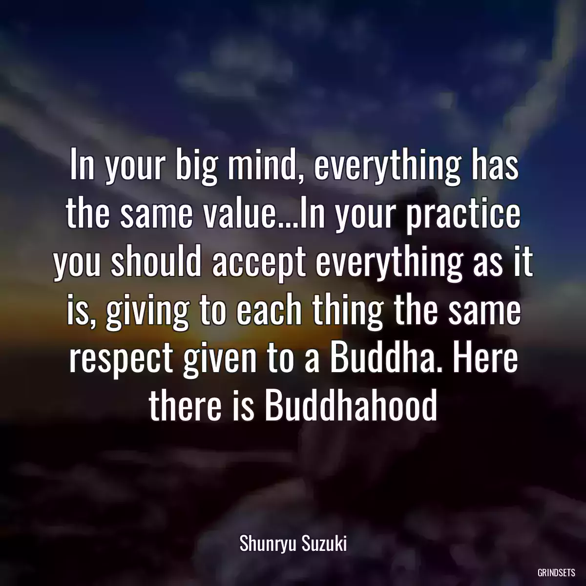 In your big mind, everything has the same value...In your practice you should accept everything as it is, giving to each thing the same respect given to a Buddha. Here there is Buddhahood