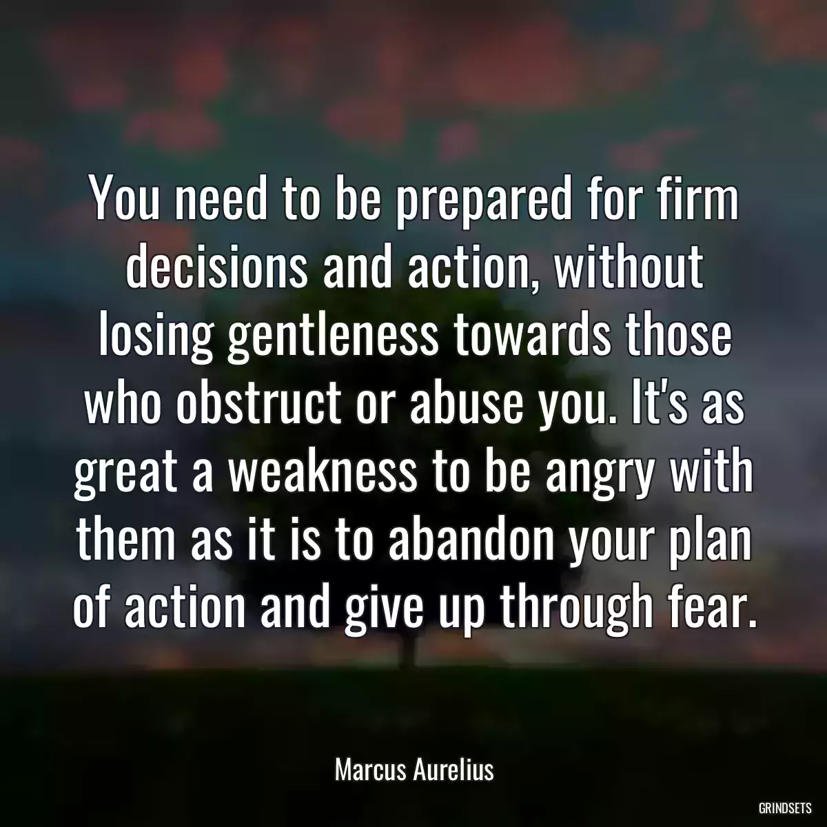 You need to be prepared for firm decisions and action, without losing gentleness towards those who obstruct or abuse you. It\'s as great a weakness to be angry with them as it is to abandon your plan of action and give up through fear.