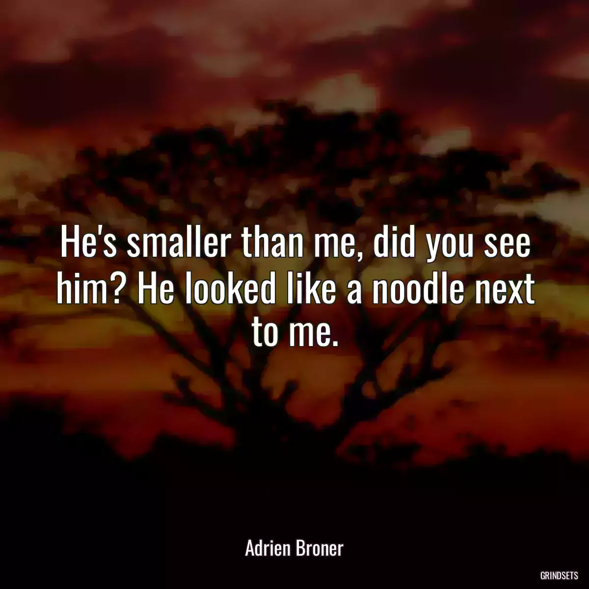 He\'s smaller than me, did you see him? He looked like a noodle next to me.