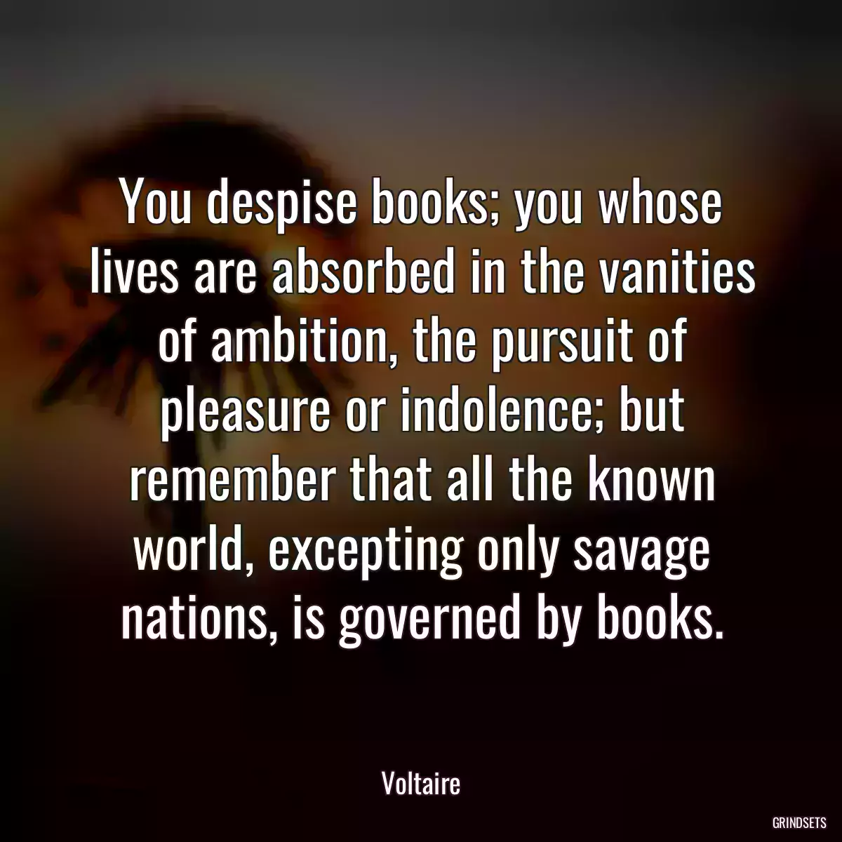 You despise books; you whose lives are absorbed in the vanities of ambition, the pursuit of pleasure or indolence; but remember that all the known world, excepting only savage nations, is governed by books.