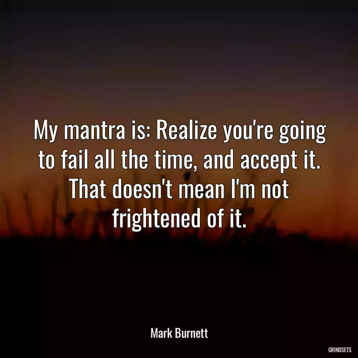 My mantra is: Realize you\'re going to fail all the time, and accept it. That doesn\'t mean I\'m not frightened of it.