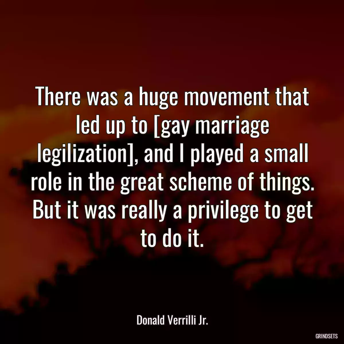 There was a huge movement that led up to [gay marriage legilization], and I played a small role in the great scheme of things. But it was really a privilege to get to do it.