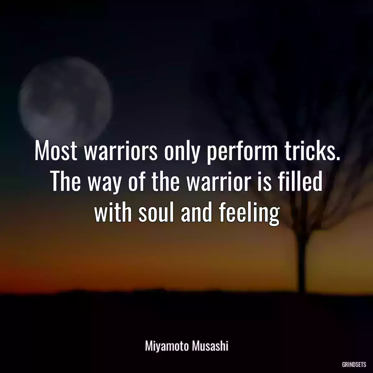 Most warriors only perform tricks. The way of the warrior is filled with soul and feeling