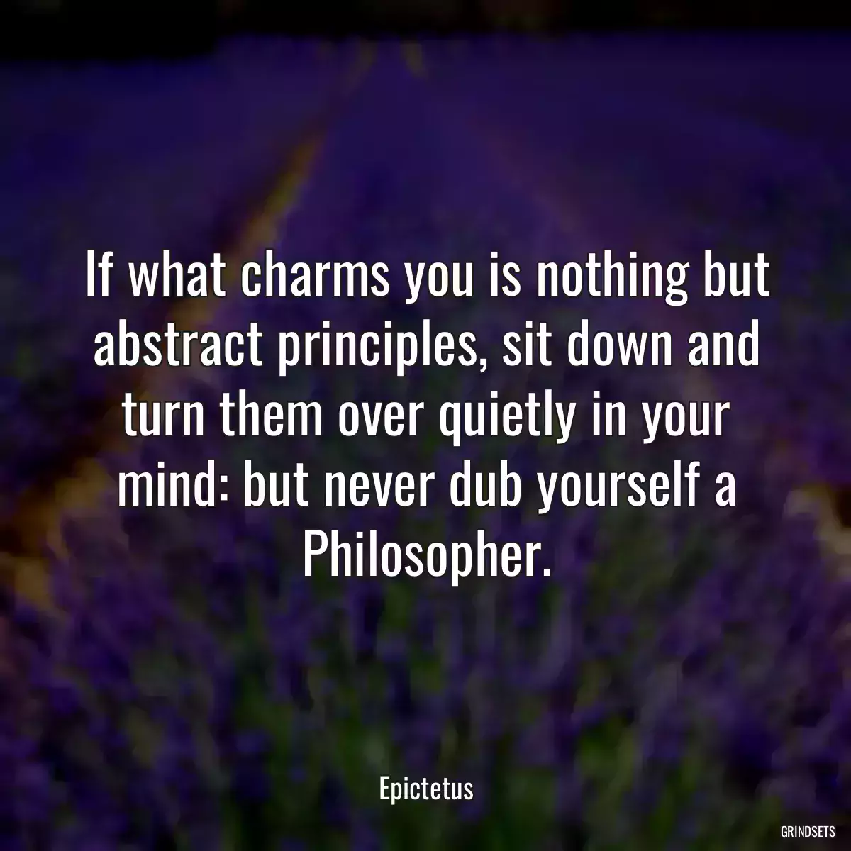 If what charms you is nothing but abstract principles, sit down and turn them over quietly in your mind: but never dub yourself a Philosopher.