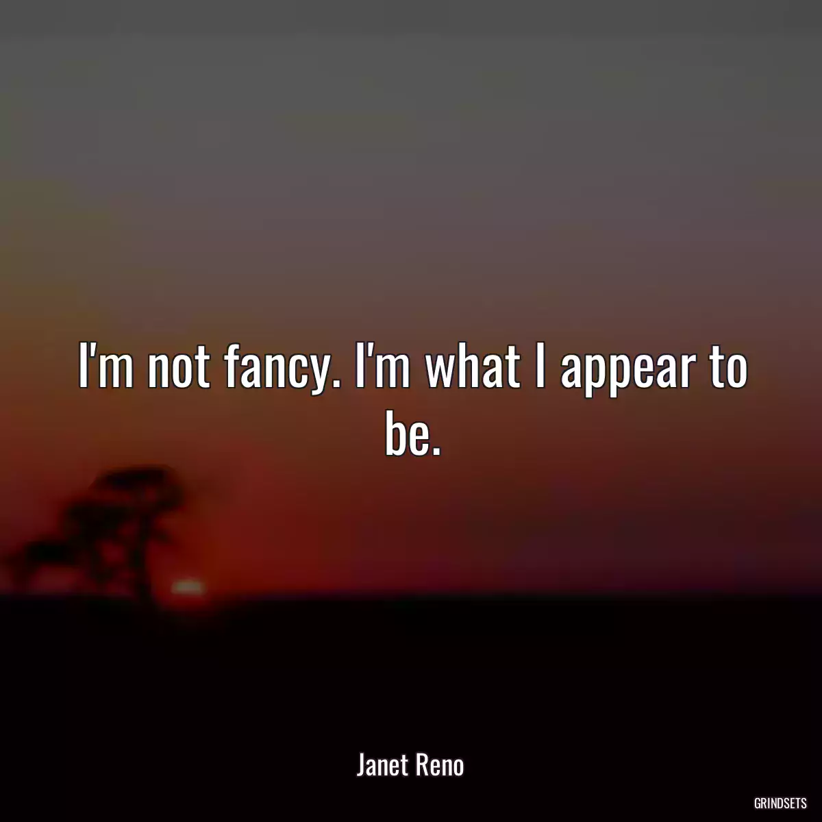 I\'m not fancy. I\'m what I appear to be.