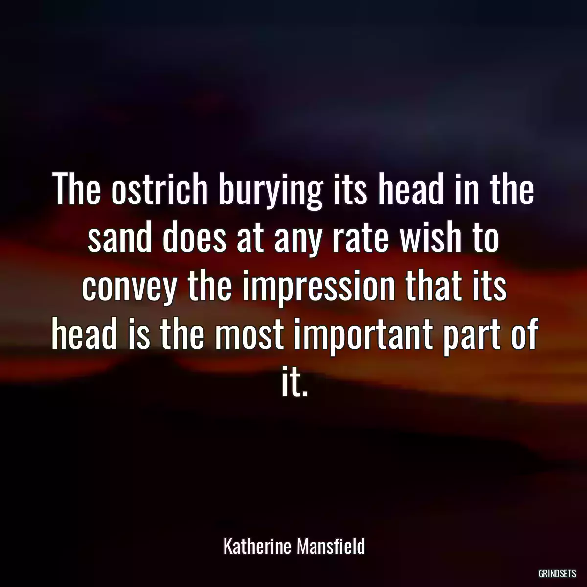 The ostrich burying its head in the sand does at any rate wish to convey the impression that its head is the most important part of it.