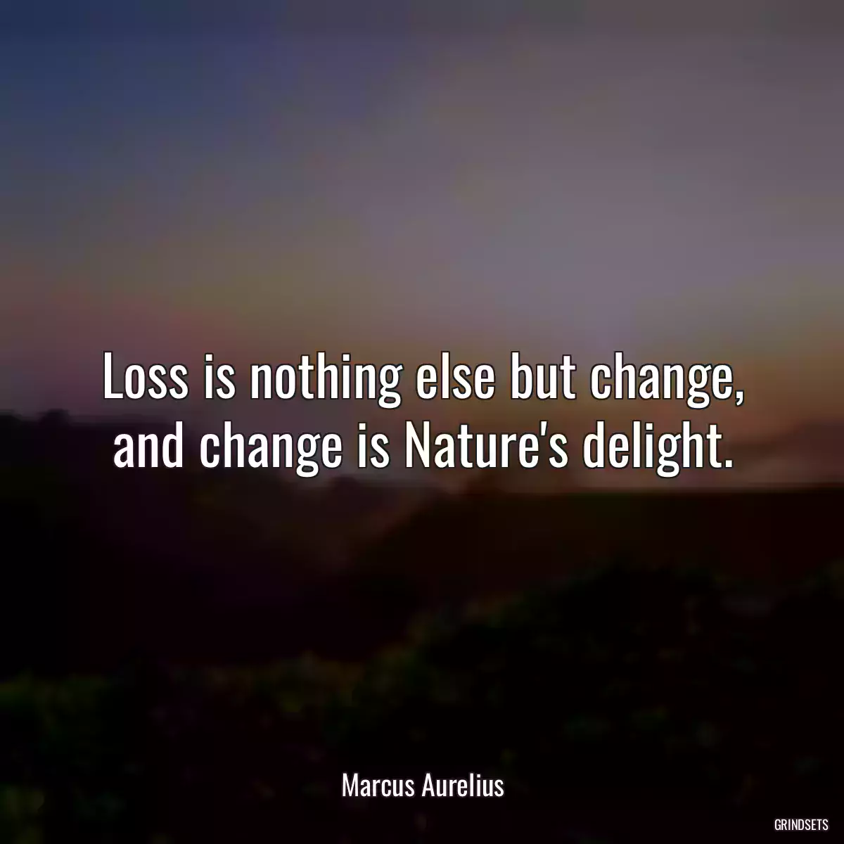 Loss is nothing else but change, and change is Nature\'s delight.