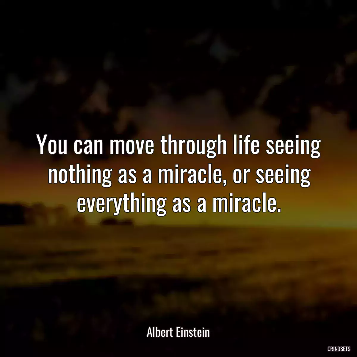 You can move through life seeing nothing as a miracle, or seeing everything as a miracle.