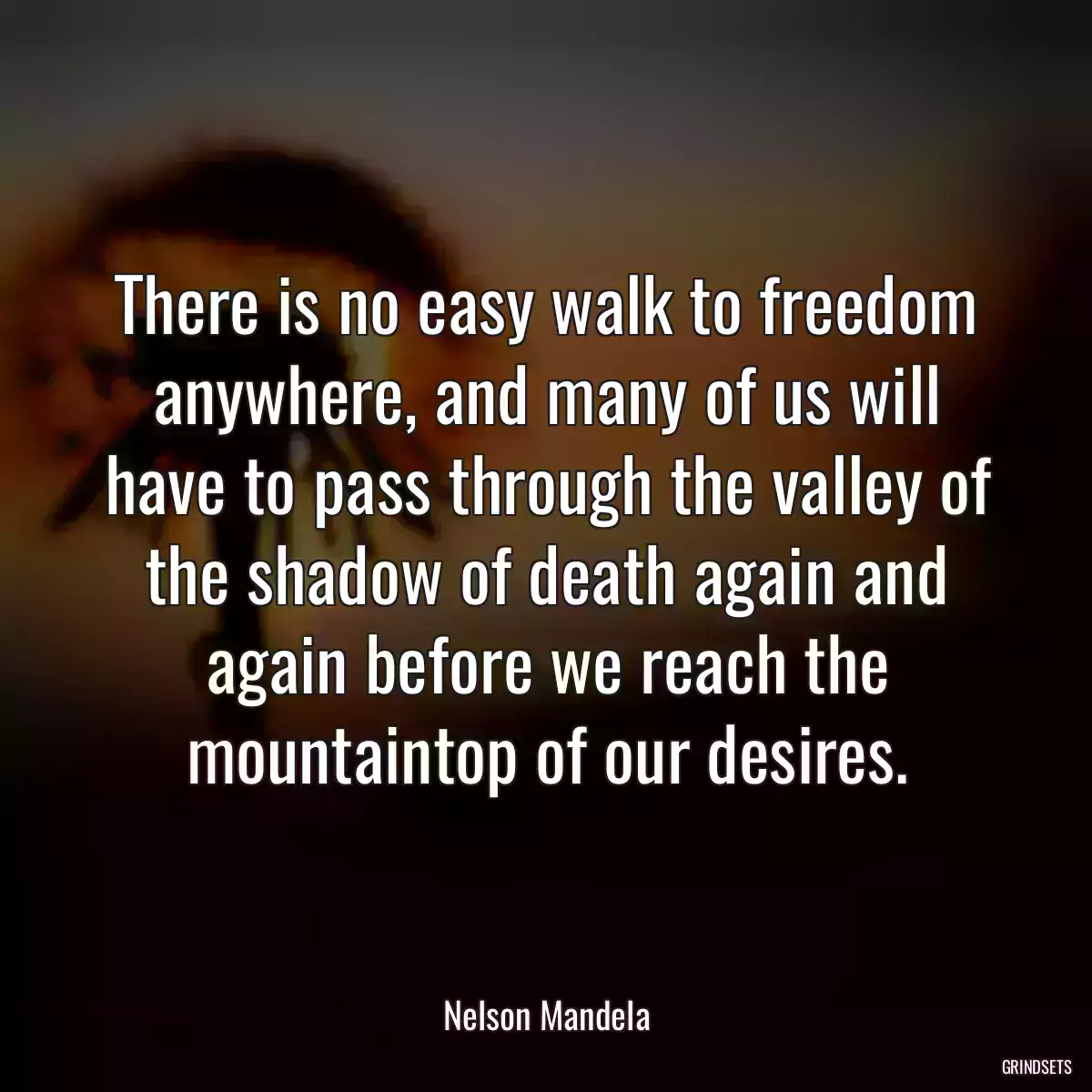 There is no easy walk to freedom anywhere, and many of us will have to pass through the valley of the shadow of death again and again before we reach the mountaintop of our desires.