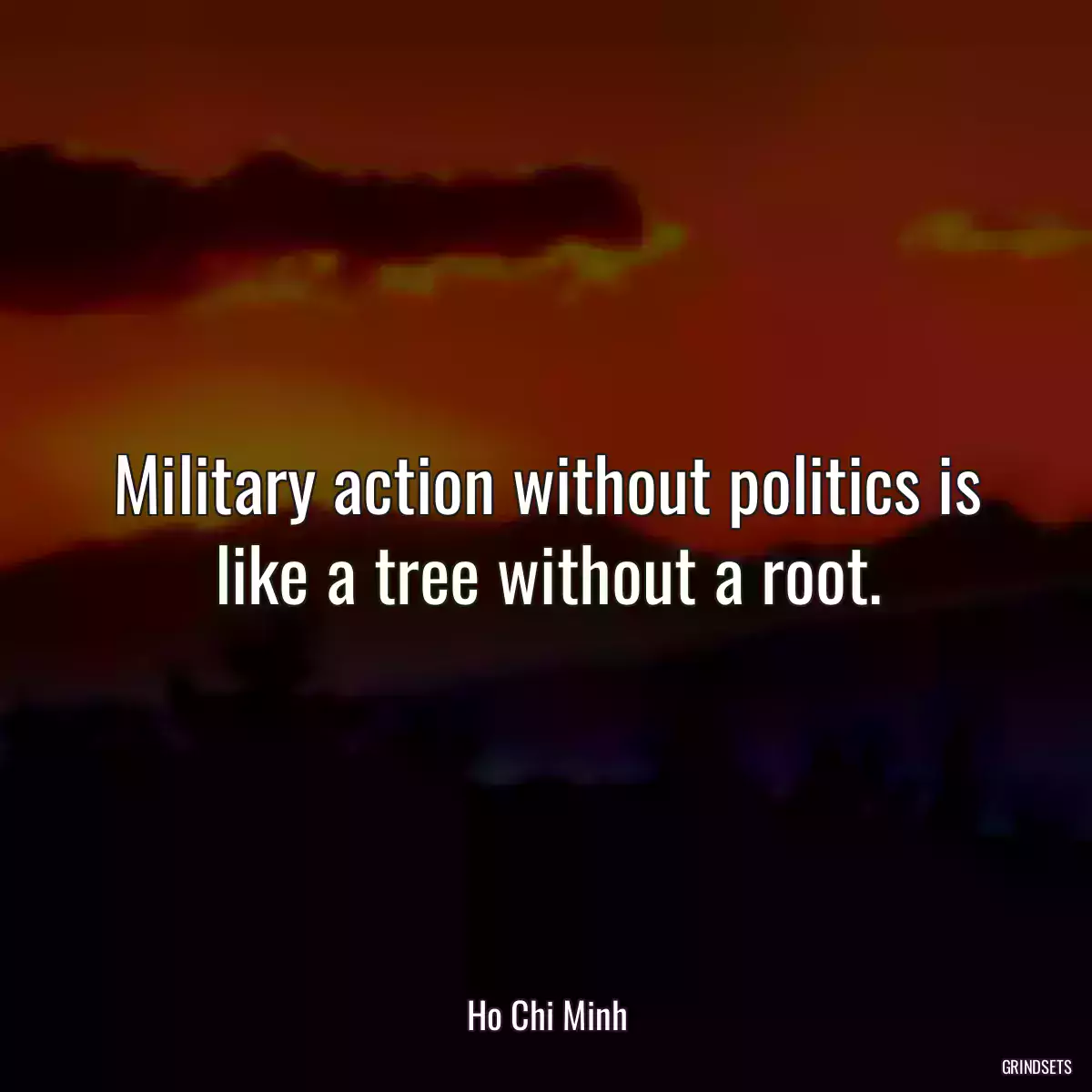 Military action without politics is like a tree without a root.