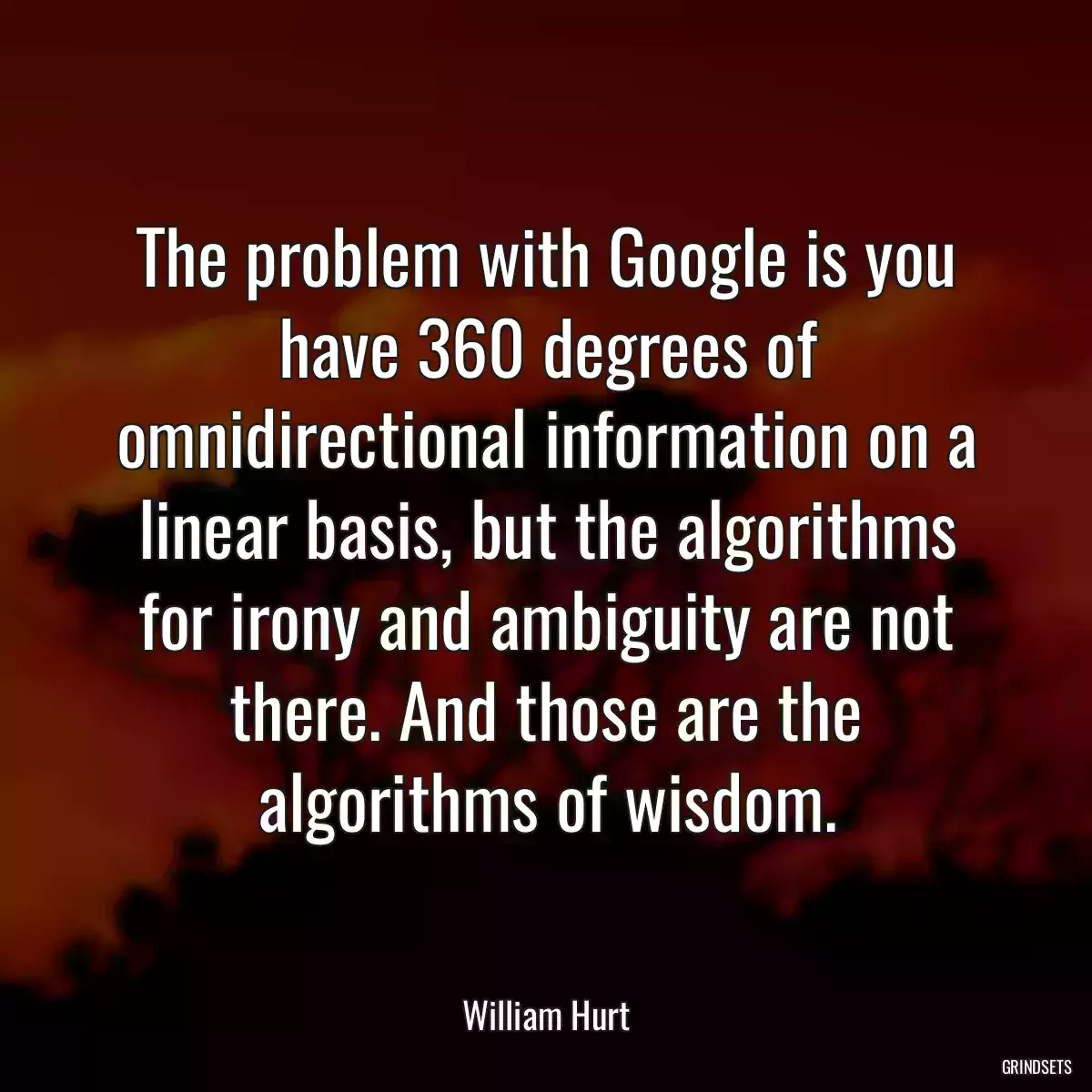 The problem with Google is you have 360 degrees of omnidirectional information on a linear basis, but the algorithms for irony and ambiguity are not there. And those are the algorithms of wisdom.