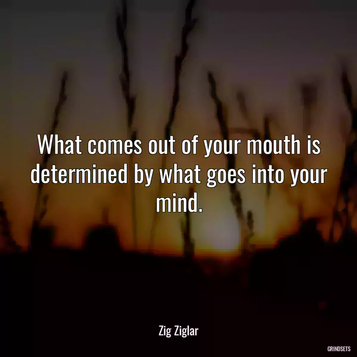 What comes out of your mouth is determined by what goes into your mind.