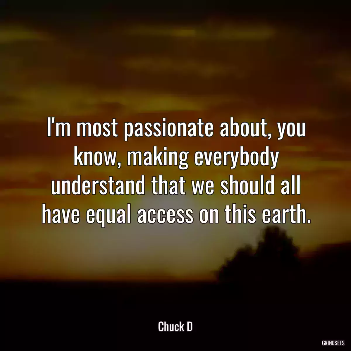 I\'m most passionate about, you know, making everybody understand that we should all have equal access on this earth.