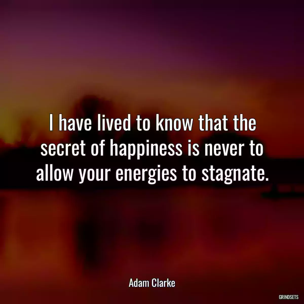 I have lived to know that the secret of happiness is never to allow your energies to stagnate.