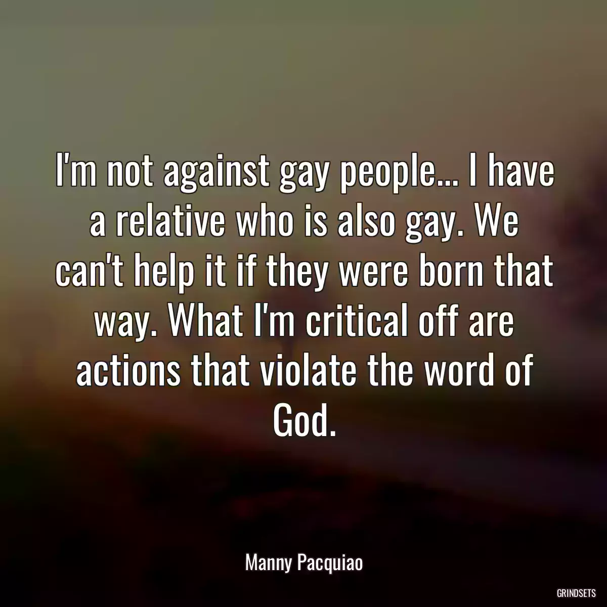 I\'m not against gay people... I have a relative who is also gay. We can\'t help it if they were born that way. What I\'m critical off are actions that violate the word of God.