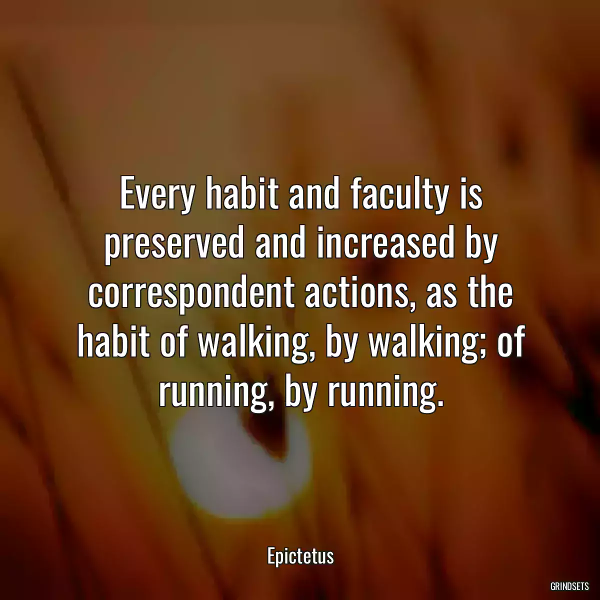 Every habit and faculty is preserved and increased by correspondent actions, as the habit of walking, by walking; of running, by running.