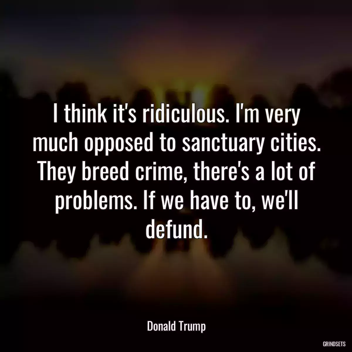 I think it\'s ridiculous. I\'m very much opposed to sanctuary cities. They breed crime, there\'s a lot of problems. If we have to, we\'ll defund.