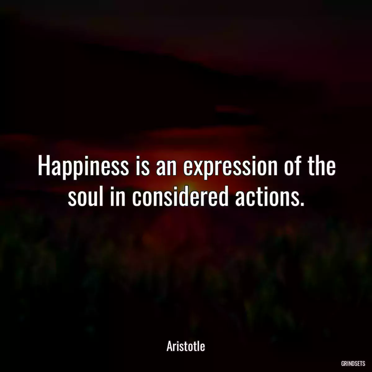 Happiness is an expression of the soul in considered actions.