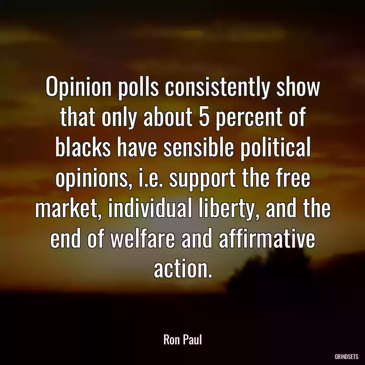 Opinion polls consistently show that only about 5 percent of blacks have sensible political opinions, i.e. support the free market, individual liberty, and the end of welfare and affirmative action.