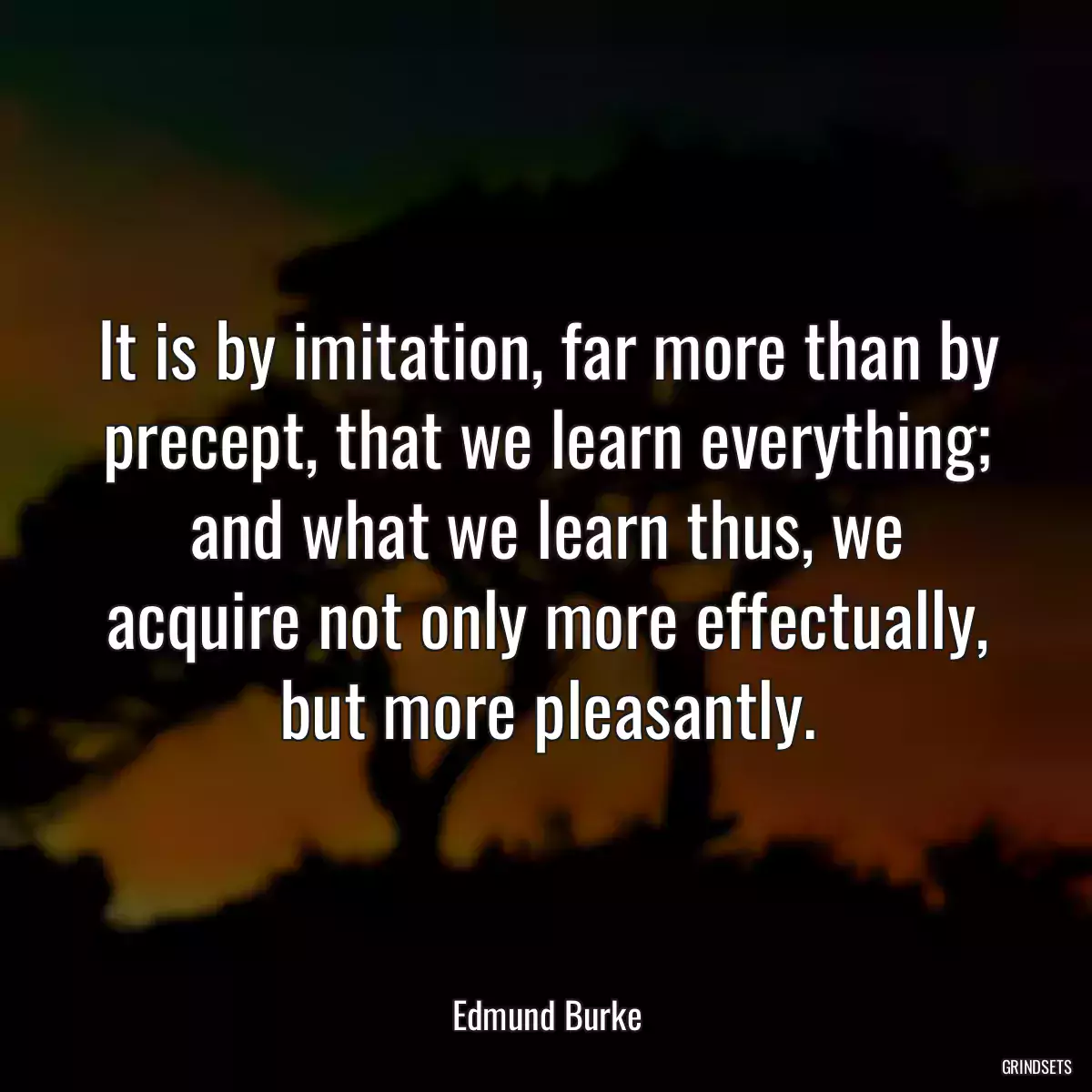 It is by imitation, far more than by precept, that we learn everything; and what we learn thus, we acquire not only more effectually, but more pleasantly.