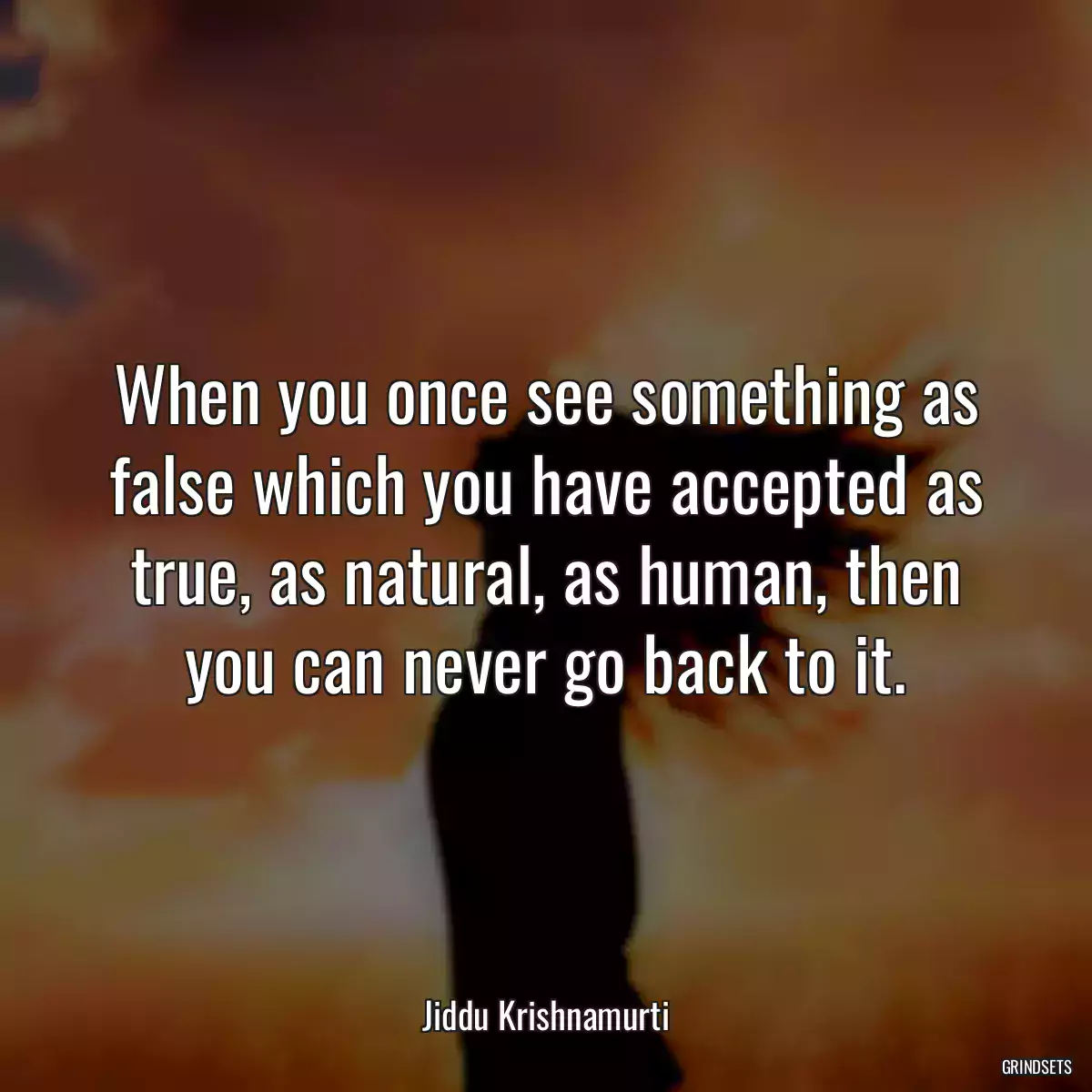 When you once see something as false which you have accepted as true, as natural, as human, then you can never go back to it.