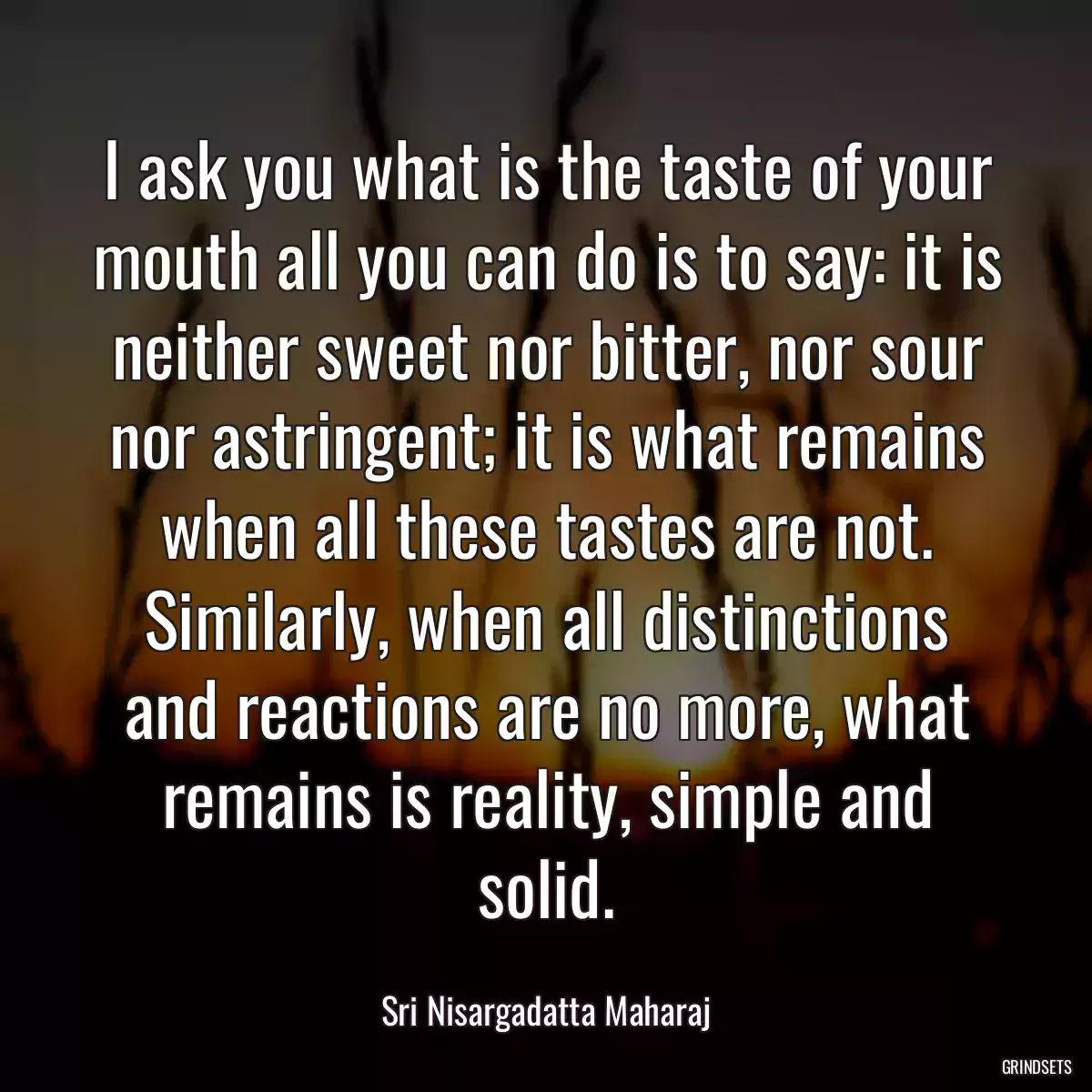 I ask you what is the taste of your mouth all you can do is to say: it is neither sweet nor bitter, nor sour nor astringent; it is what remains when all these tastes are not. Similarly, when all distinctions and reactions are no more, what remains is reality, simple and solid.