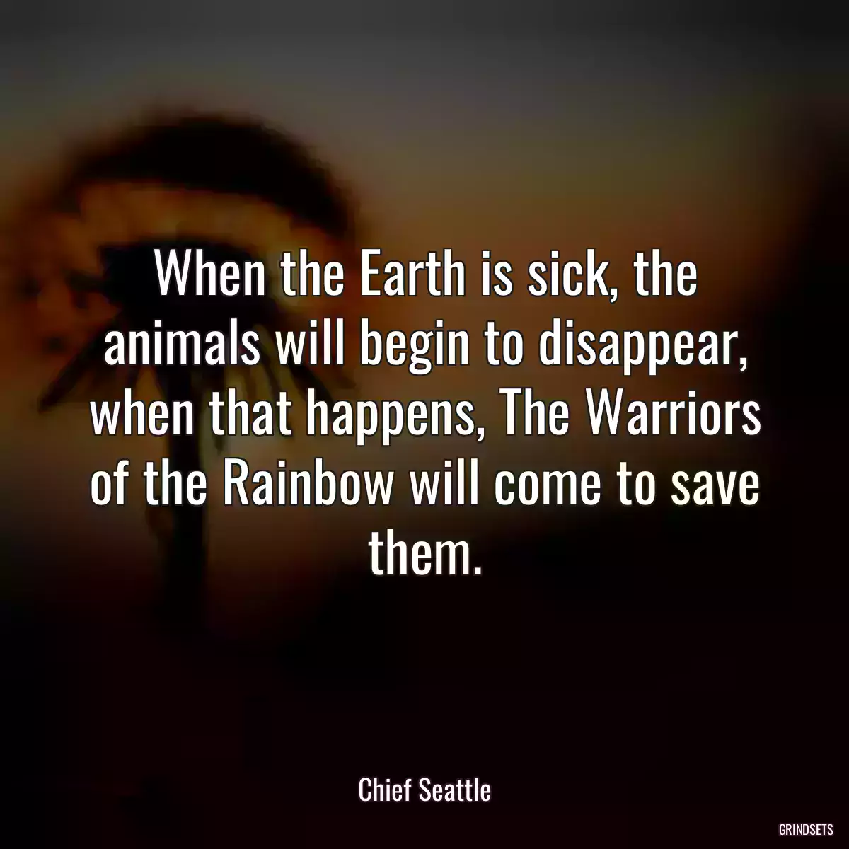 When the Earth is sick, the animals will begin to disappear, when that happens, The Warriors of the Rainbow will come to save them.