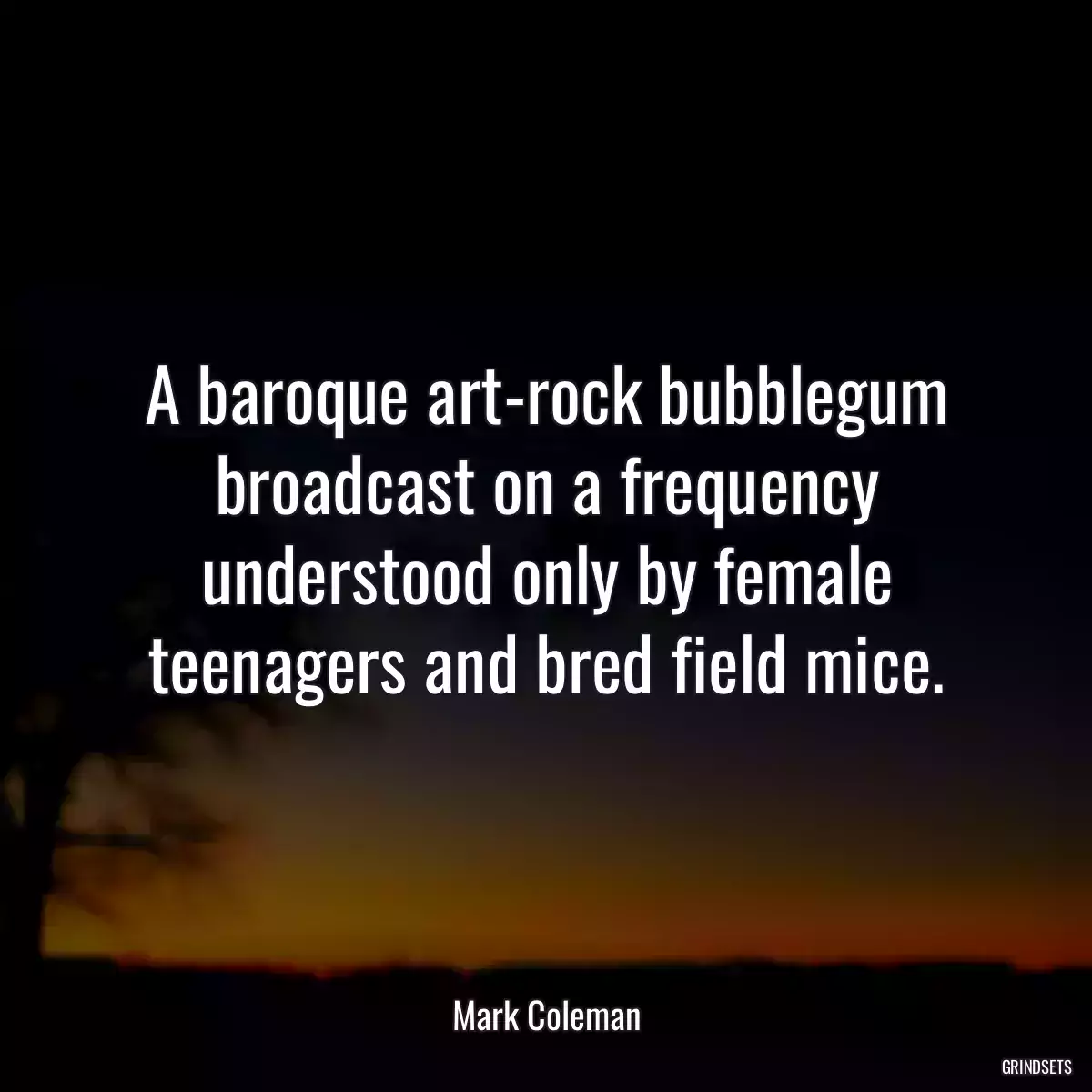 A baroque art-rock bubblegum broadcast on a frequency understood only by female teenagers and bred field mice.