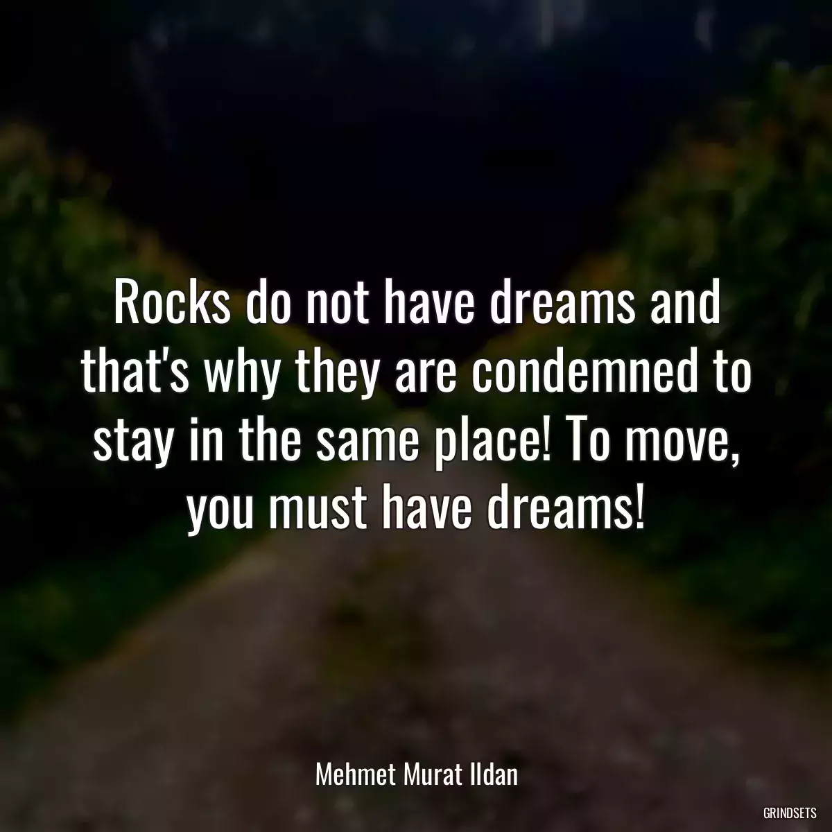 Rocks do not have dreams and that\'s why they are condemned to stay in the same place! To move, you must have dreams!